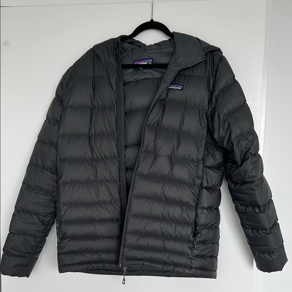 Patagonia Men's hooded puffer jacket